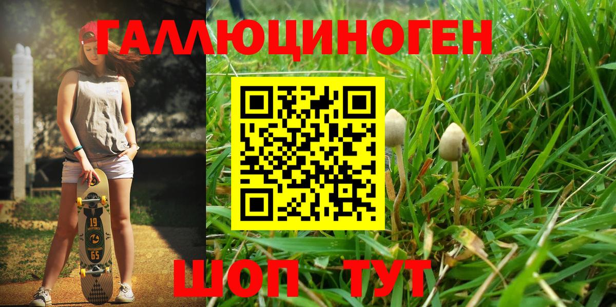 Лиски  Галлюциногенные грибы мицелий  Псилоцибиновые грибы Cubensis  Вход с VPN 